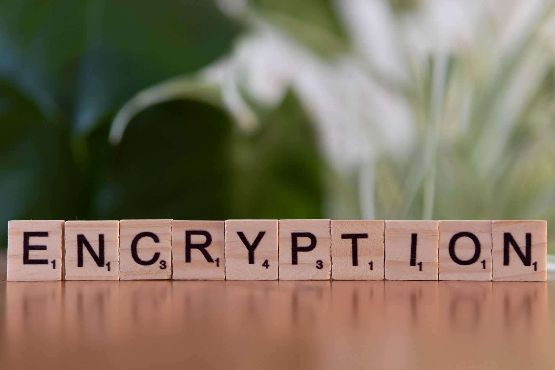 Воронежский телеком-эксперт: плату за VPN ввести технически невозможно